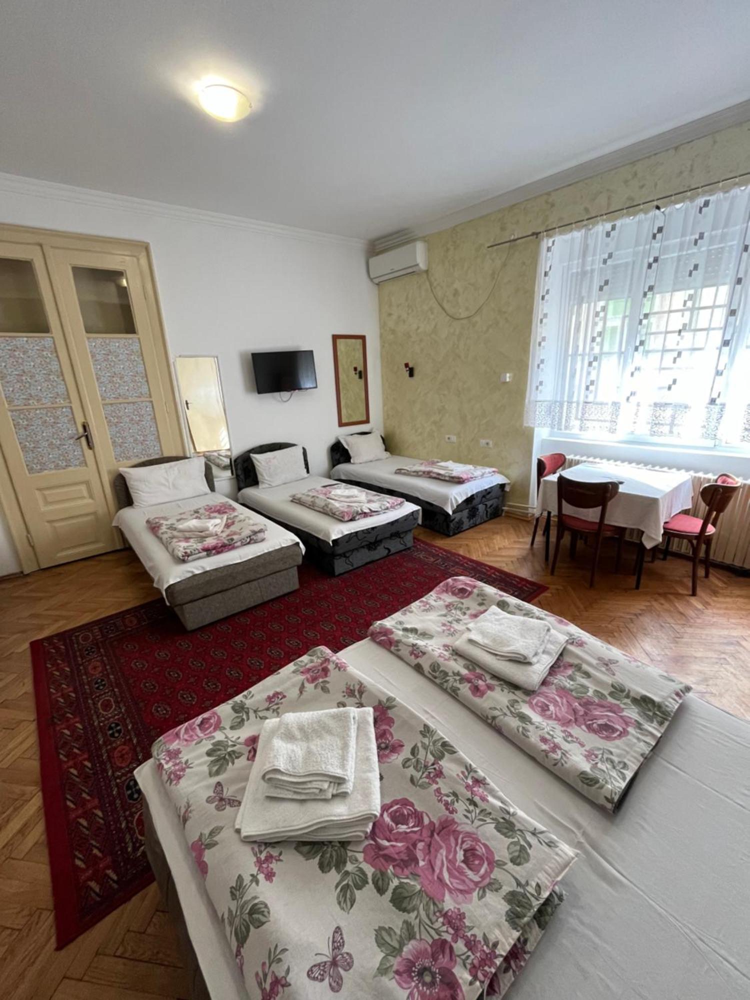 Sobe Sa Sopstvenim Kupatilom Private Rooms Bathroom In Center Novi Sad Exterior photo